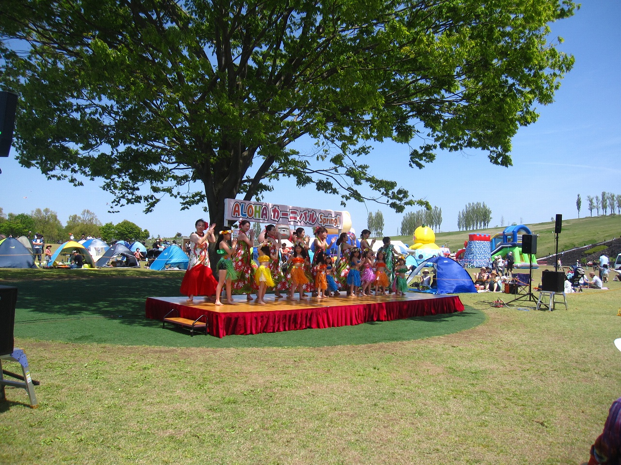 Alohaカーニバルspring 国営越後丘陵公園